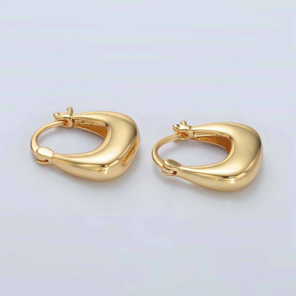 Latch Hoop Earrings